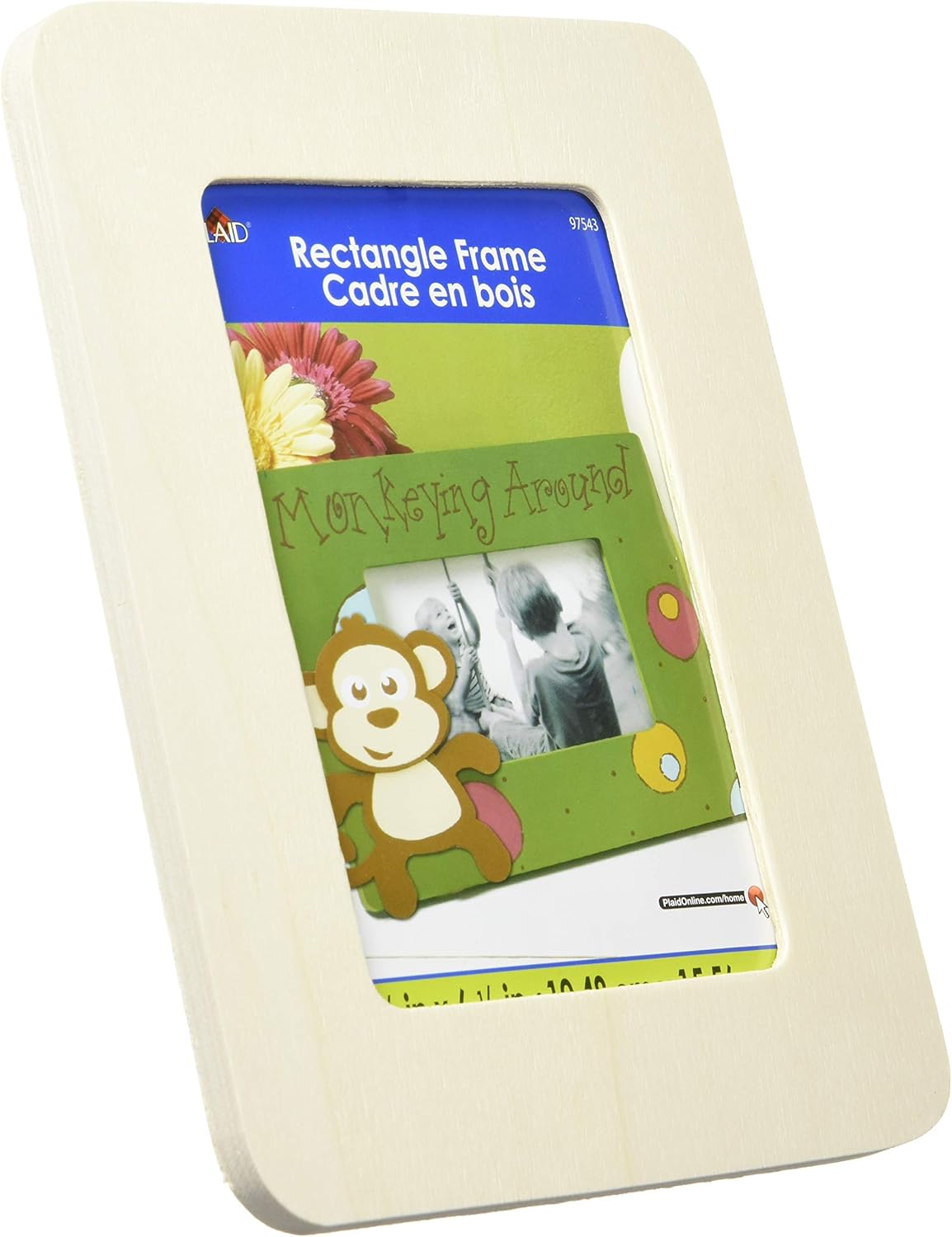 Photo Albums, Frames & Accessories - Plaid Rectangle Value Frame (4 by 6-Inch), 97543