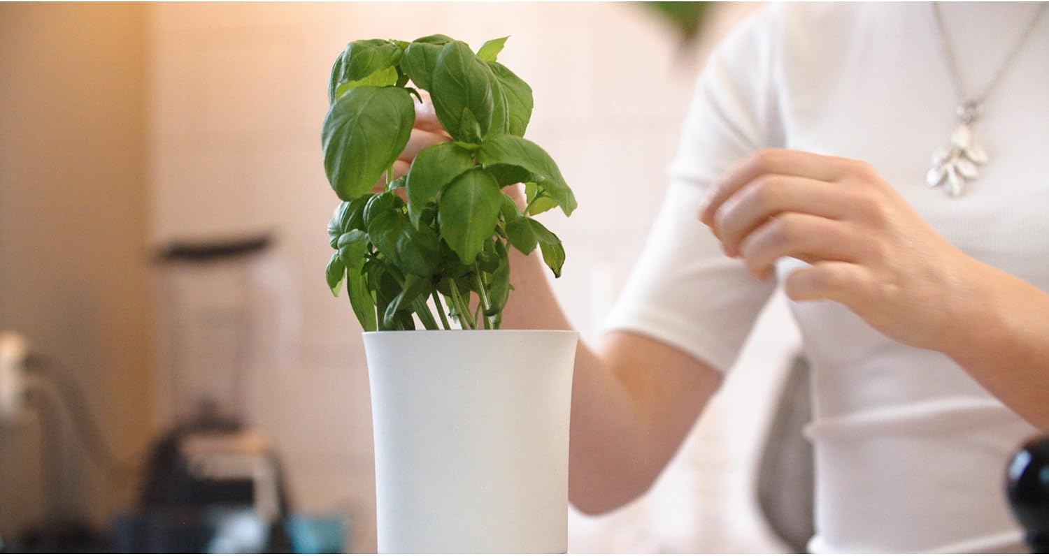 Botanium Unidad de Cultivo Automático de Alimentos Humo Blanco ...