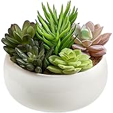 MyGift 6 Inch Round Modern Artificial Succulent Arrangement Potted in White Ceramic Plant Bowl, Assorted Faux Mini Succulents in a Decorative Planter Pot
