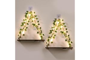 EXIN DECHEN Floating Shelves for Wall No Drilling,Wall Shelves,Hanging Shelf,Leaves and Light Strip with Flower,Set of 2 Plant Decor for Home Livingroom Bedroom,Led Christmas Decorations,Gift