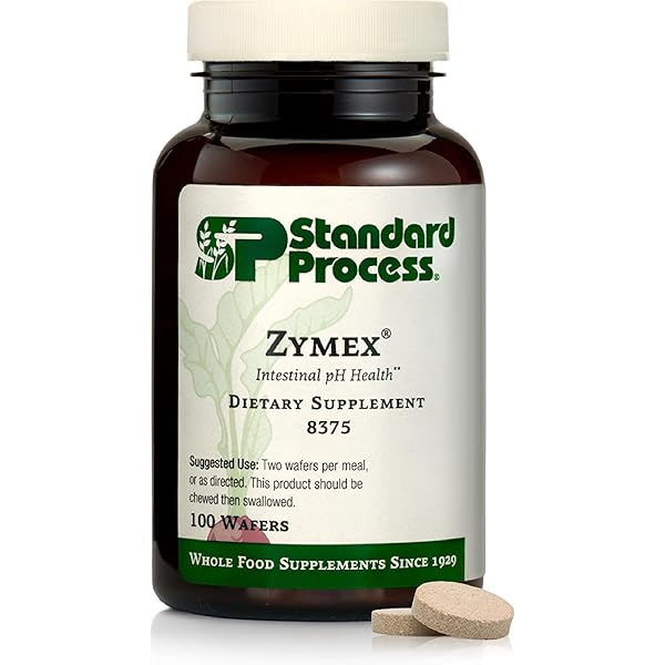 herbs & stones Pathways 中古美品 herbs & stones Pathways 中古美品 Pathways & Stepping Stones – Plow