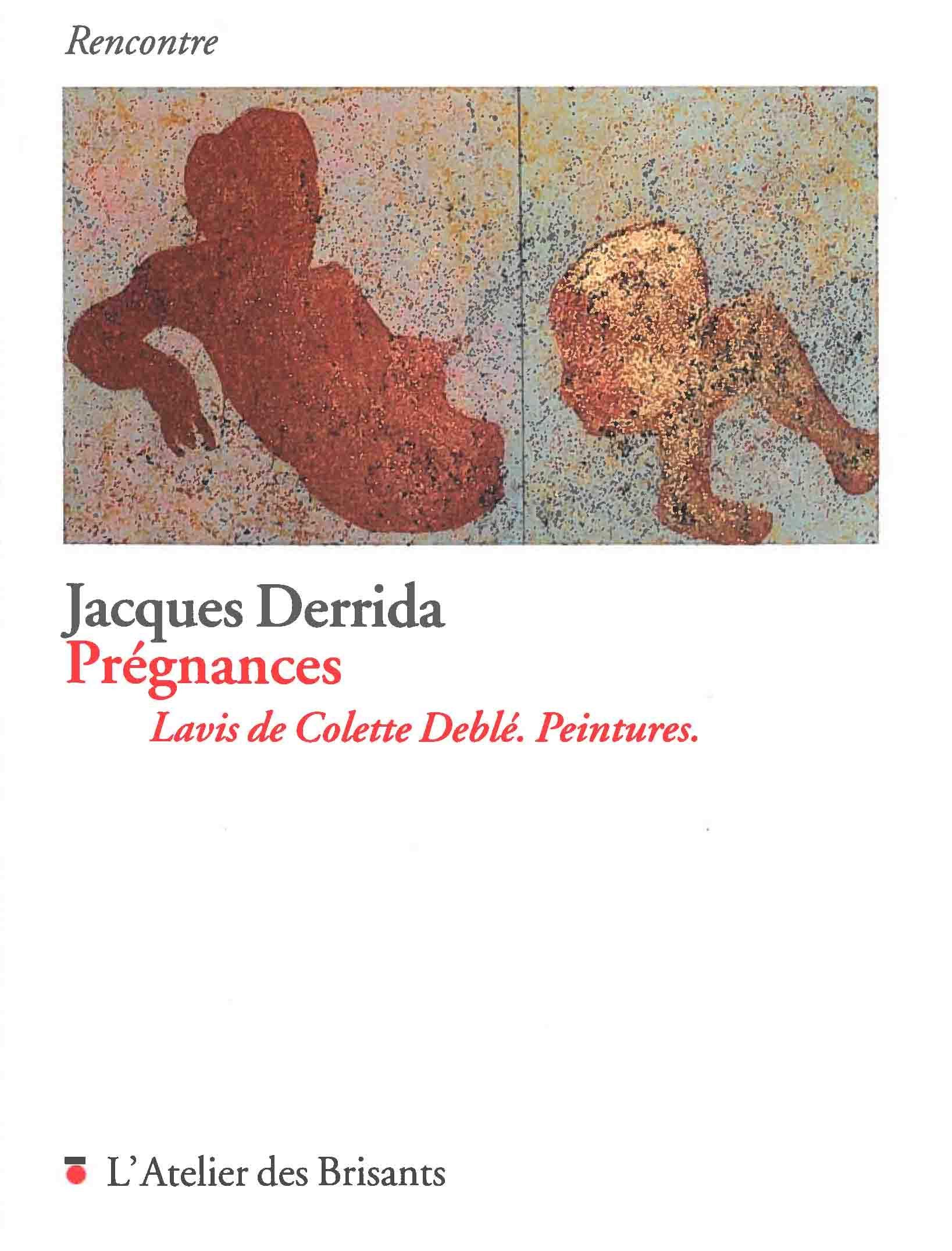 Amazon Fr Pregnances Lavis De Colette Deble Peintures Derrida Jacques Deble Colette Livres