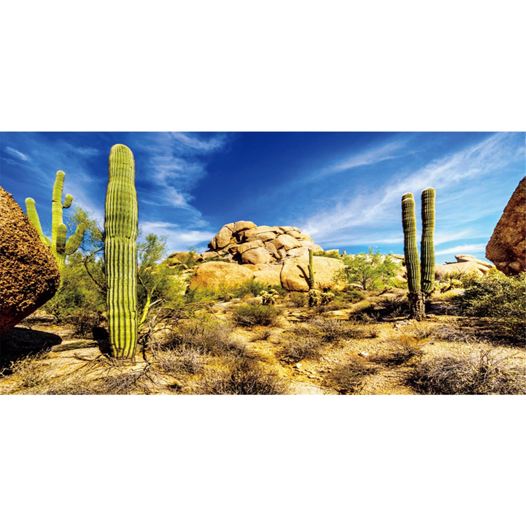 MIRRORANG 120x61cm Reptile Habitat Blue Sky Oasis Cactus Gobi Terrarium Background Durable Vinyl Background Decoration