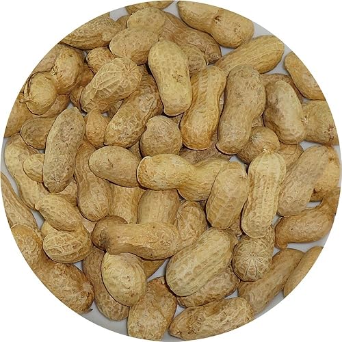 Monkey Nuts in Shells LARGE BAG Johnston & Jeff 12.5KG (TP)(SHELL