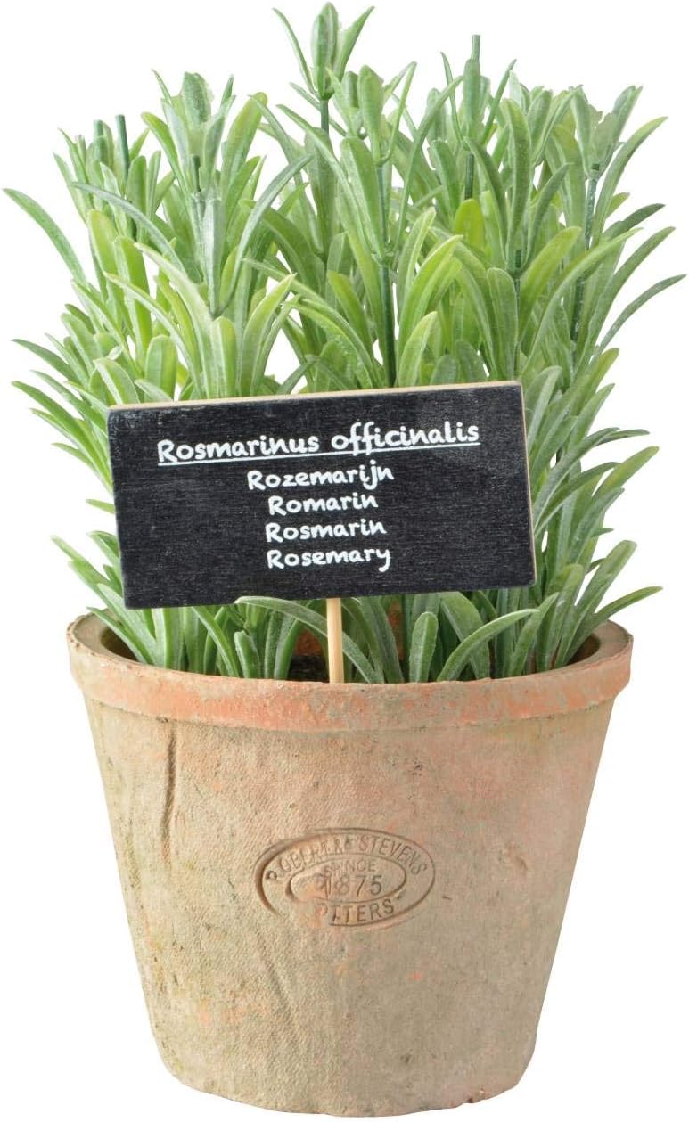 Esschert's Design AH012 Large Artificial Aged Terracotta Pot - Rosemary - Image 3