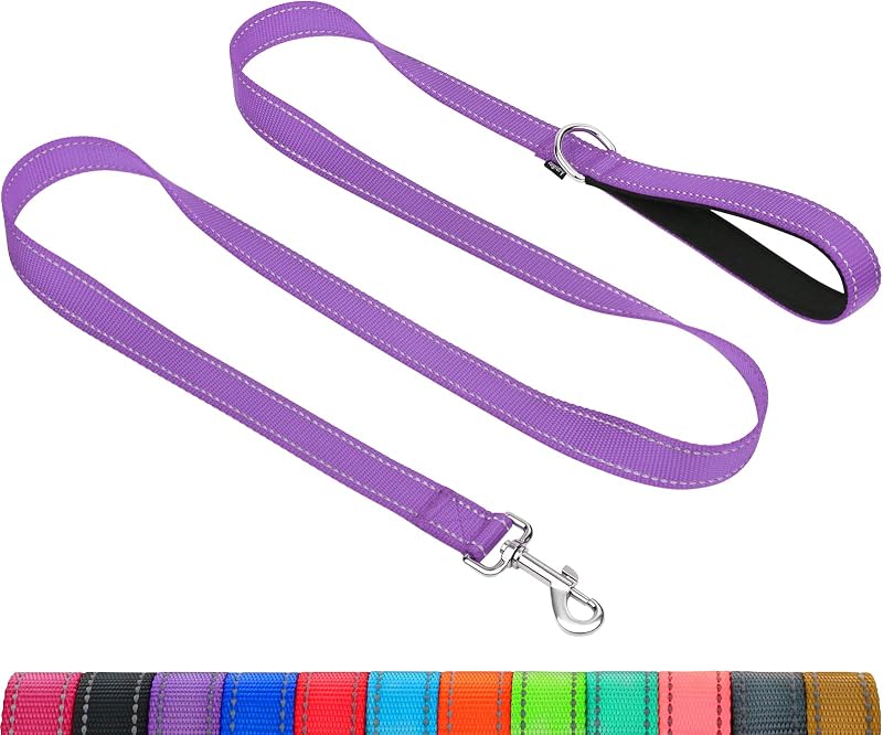 Taglory Dog Lead Reflective Double Sided 2 cm x 120 cm Purple