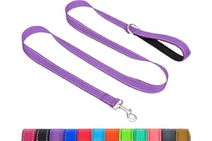 Taglory Dog Leash for Small Dogs, Double-Sided Reflective Leash with Soft Neoprene Padded Handle, 3/4 inch by 6 ft, Fit Small Medium Large Breeds Under 20 lbs, Purple
