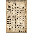 Buywell Metal Plaque Ashtanga Vinyasa Yoga Knowledge Wall Art, Print, Poses, Decor, Chakra Poster, Lover Gift Vintage Home Decor 5.5x8 Inch