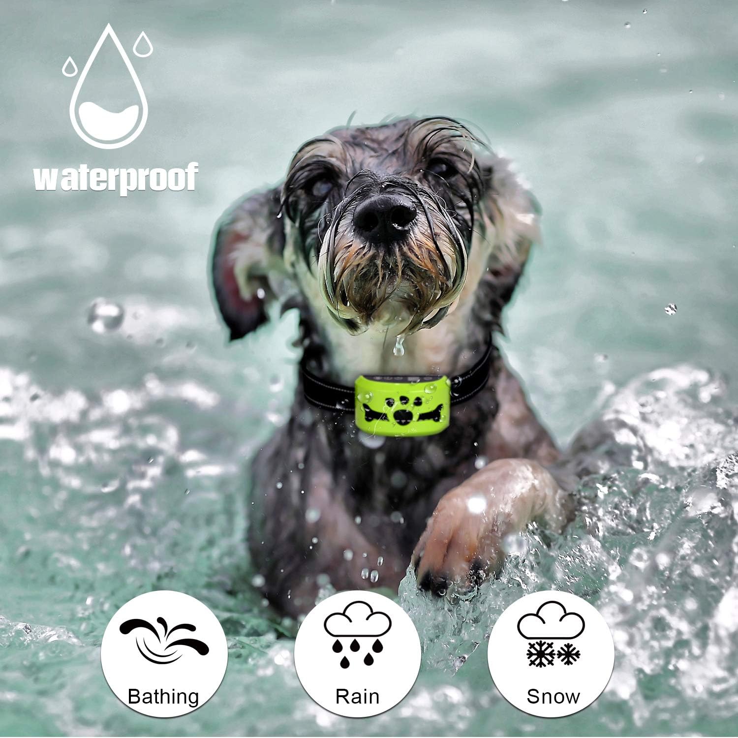 Dog No Barking Collar (Green) : Pet Supplies