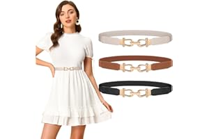 LEACOOLKEY Women Skinny Elastic Belt for Dresses,Thin Retro Stretch Waist Belt with Golden Buckle