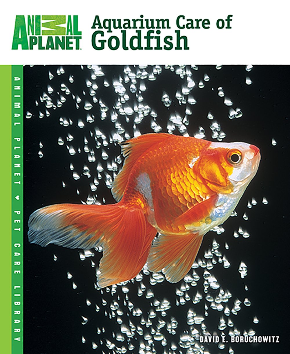 goldfish aquarium care