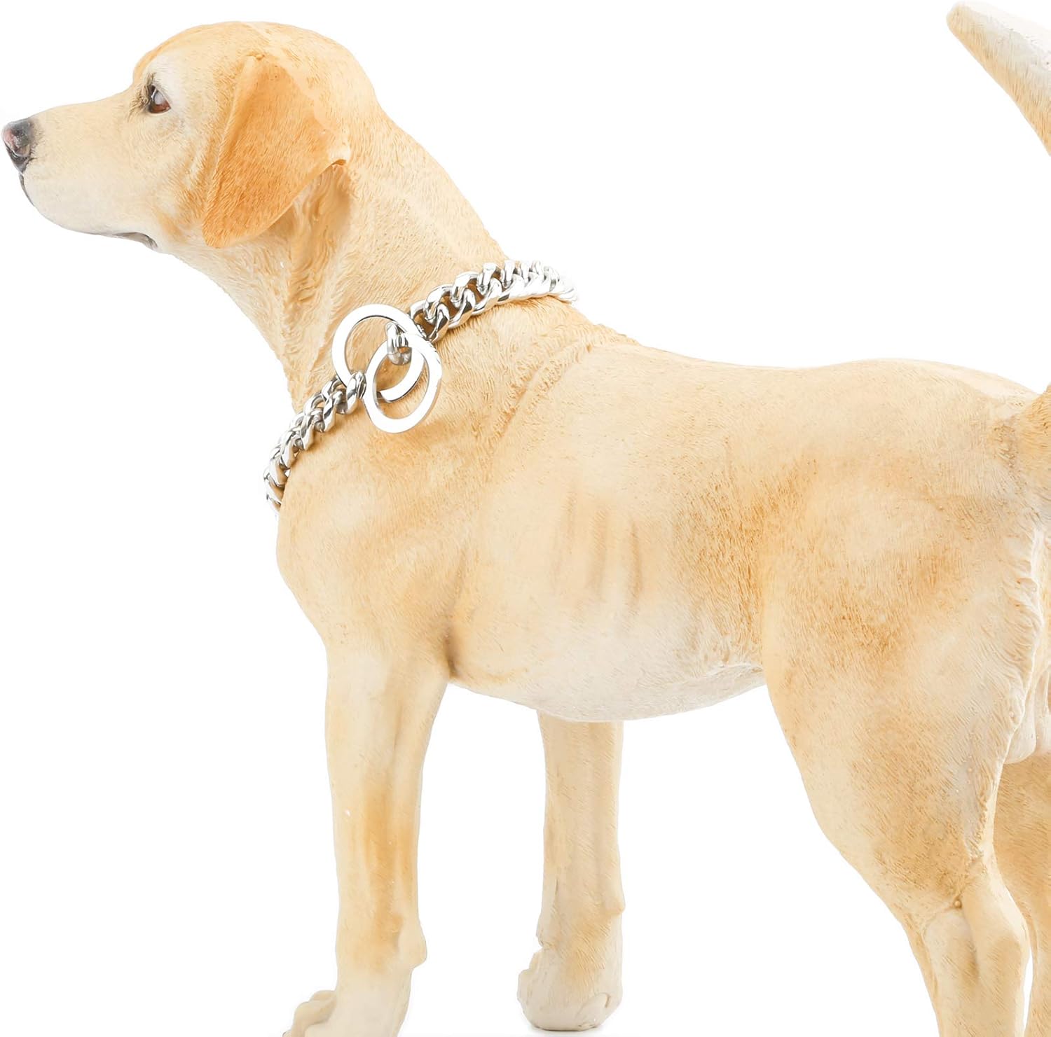 labrador chain collar