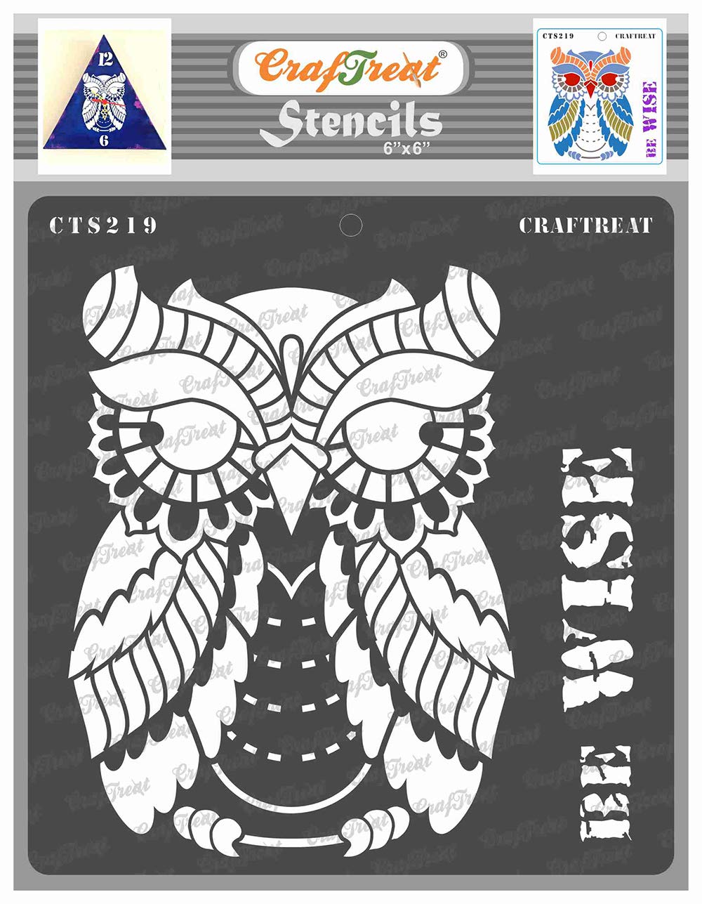 CrafTreat Reusable Owl Stencils for Painting on Wood, Canvas, Paper, Fabric, Floor, Wall and Tile - Be Wise -6x6 Inch - Owl Stencil DIY Art and Craft Stencils for Home Decor