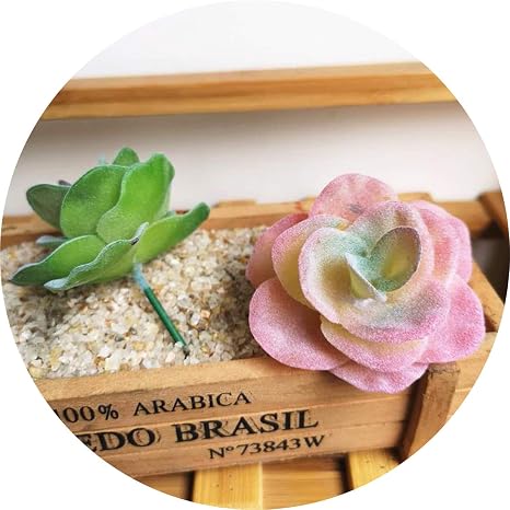 Amazon Memoirs 人工多肉植物 花 ポーリン 人工多肉植物 ガーデン 装飾 アクセサリー 人工植物 M 人工観葉植物 オンライン通販