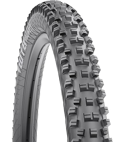 Amazon.com : Schwalbe - Hans Dampf All Terrian and All MTB