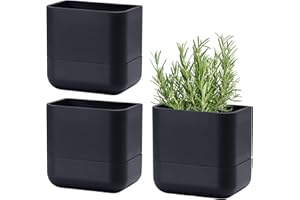 Phoenix Vine 6.5-Inch Wall Mounted Self-Watering Planter Pot for Indoor Houseplants and Herbs | Modern Hanging Planter for Window Sills, Bathroom Walls, Home & Office Décor, Black, Set of 3, 01-WP-B-3
