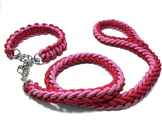 thick braided dog leash