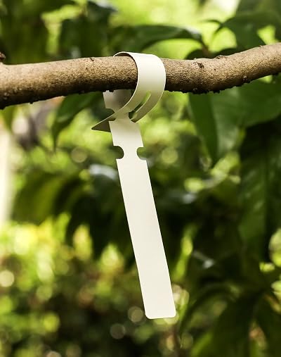 QWORK 300Pcs Plastic Tree Labels Garden Plant Tags 2x21cm White