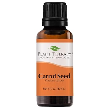Plant Therapy Carrot Seed Essential Oil 100 Pure Undiluted Natural Aromatherapy - 