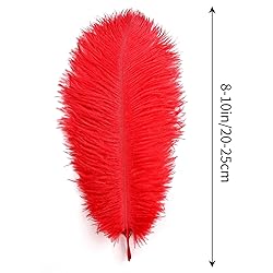 THARAHT 24pcs Red Ostrich Feathers Natural Bulk
