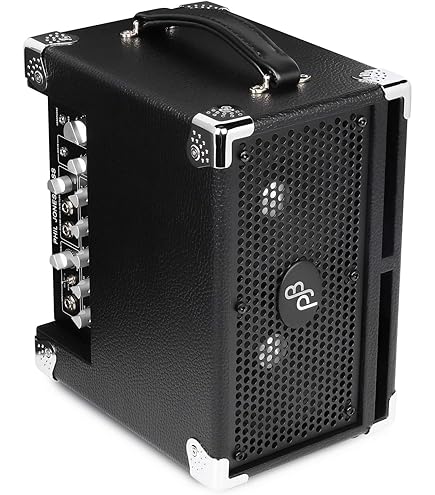 Amazon.com: Phil Jones BG-120 Bass Cub Pro Combo Bass Guitar