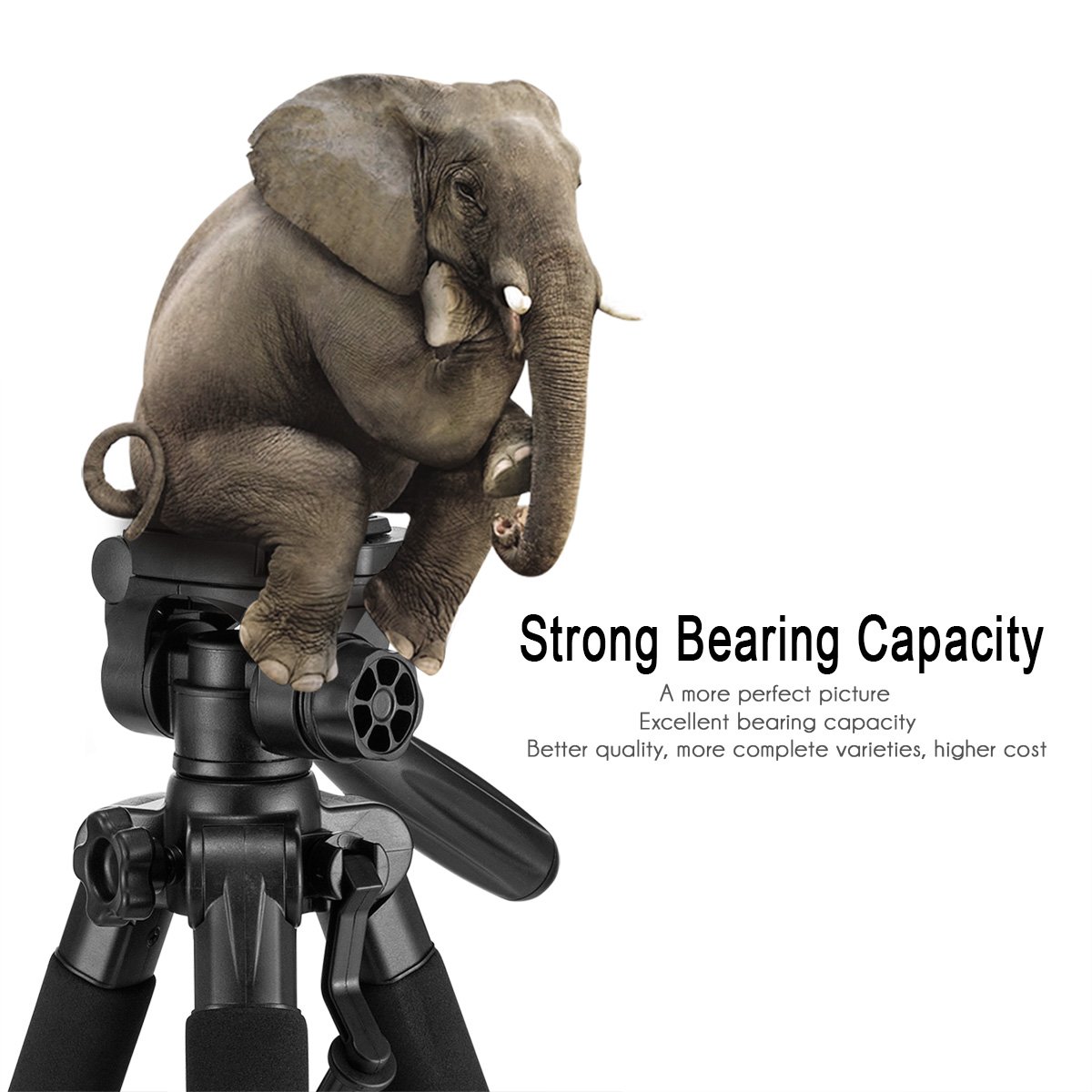 Stativkamera Reflex - Mactrem Flexibles Vollstativ PT55 mit Kugelkopf für DSLR EOS Canon Nikon SONY - Reisestativ (Schwarz)