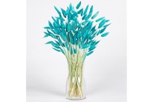 Blue Bunny Tails Dried Flowers Bulk, 110-120pcs Blue Rabbit Tails Dried Grass ,XMFAYUAN Small Pampas Grass Bouquet Natural Dried Plant for Home Decor and Gifting (16-17")