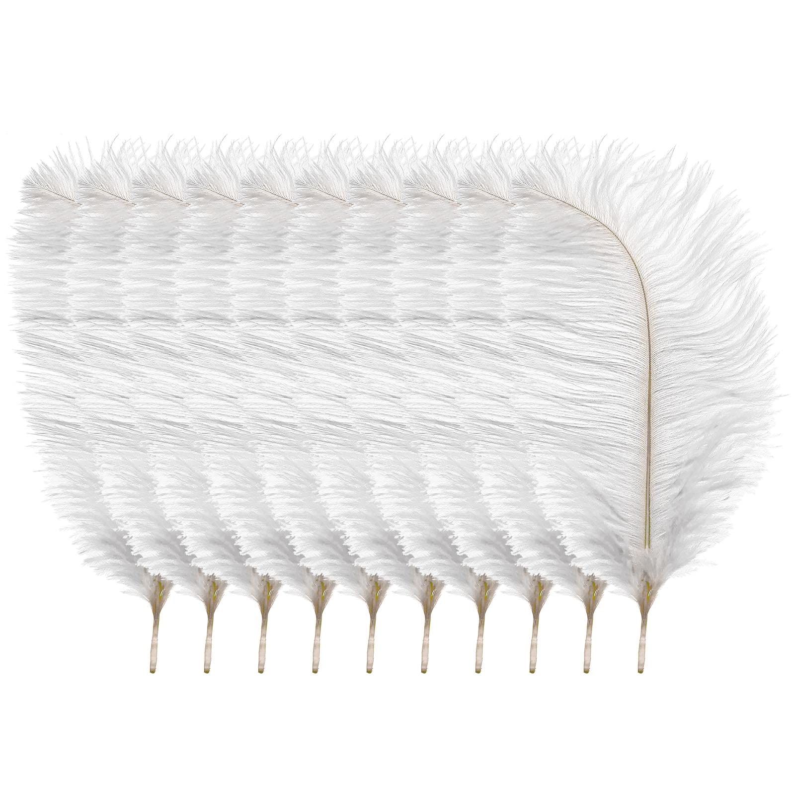 OTOTEC 10 x Arts Crafts Ostrich Feathers Fluffy 10"-12" Long White