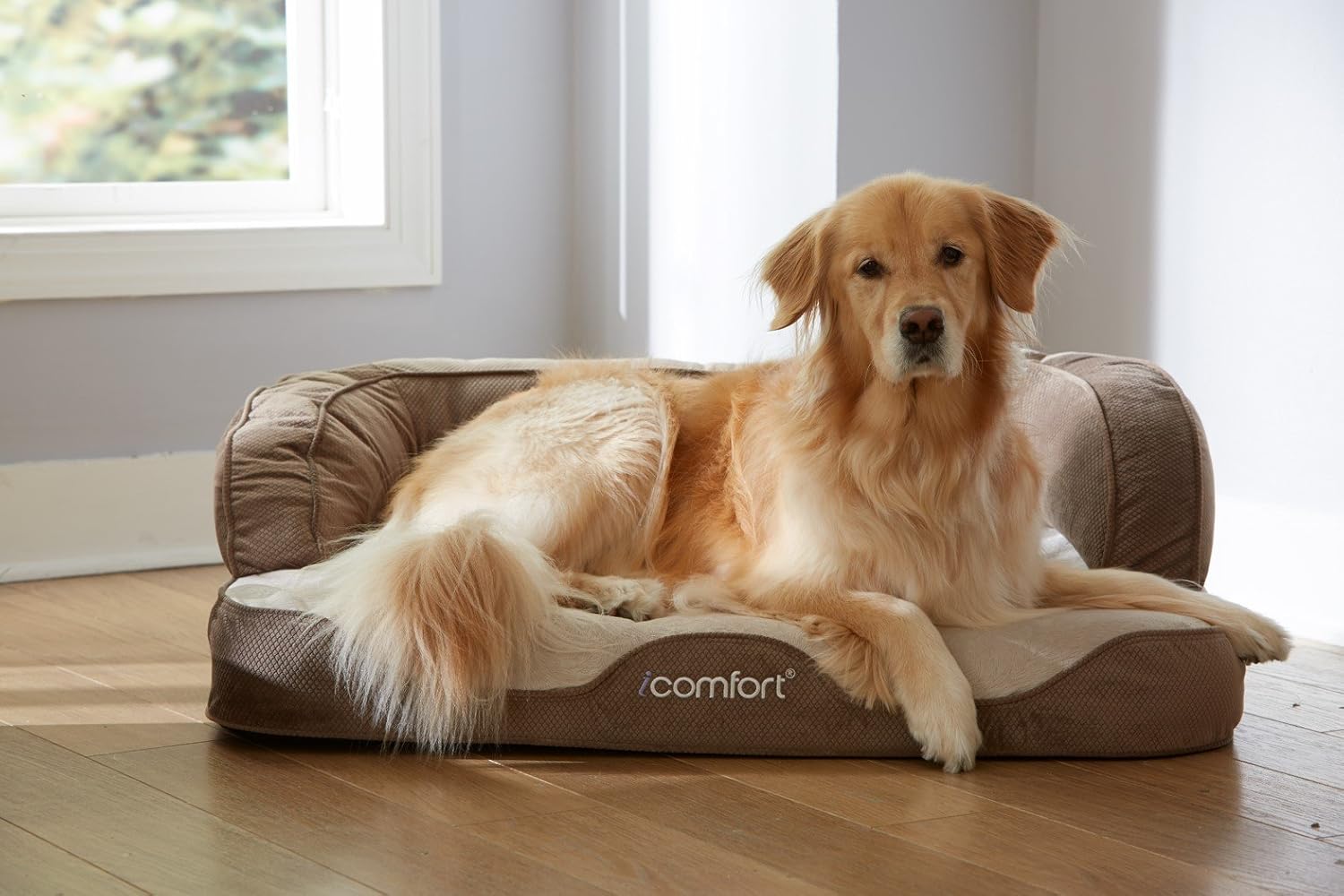icomfort sleeper pet bed
