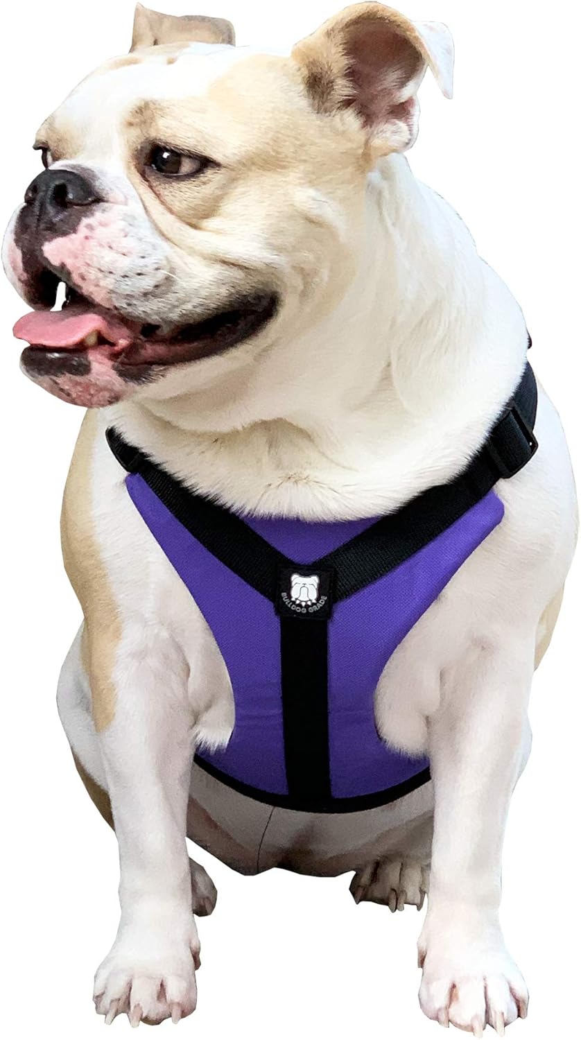 Bulldog Grade No Pull Dog Harness Custom Fit, Reflective