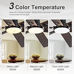 BOOMJOY 60” Ceiling Fans with Lights and Remote