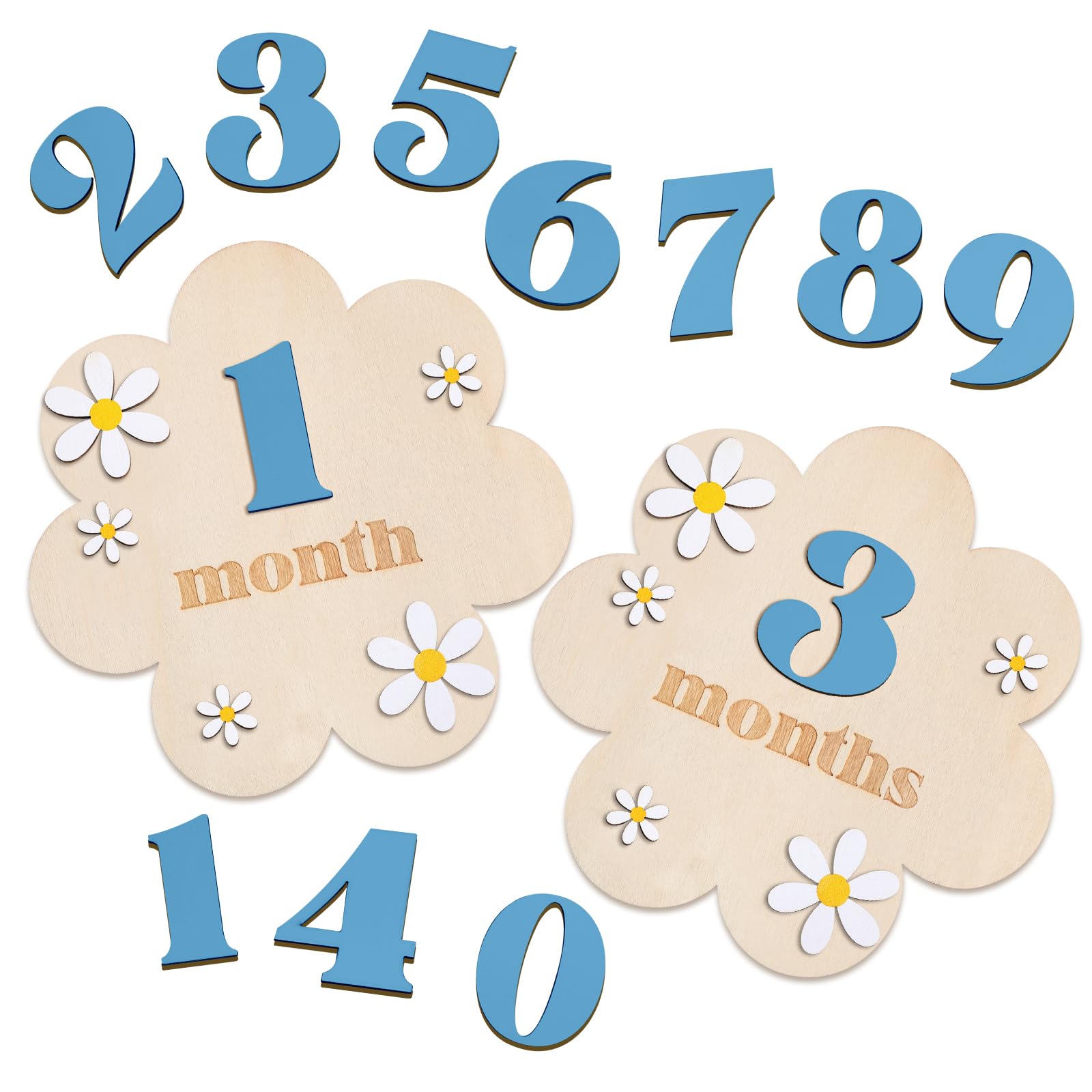 Burbell 3D Wooden Daisy Baby Monthly Milestone Sign Cards 1-12 Months ...