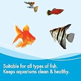 AQUARIAN Weekly Water Cleaner 473ml Aquarium Bacteria Bottle view 5