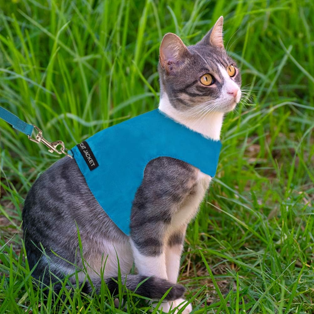 gopro cat harness