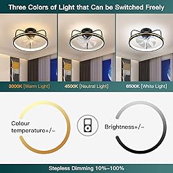 ZOGOOR 19.6'' Ceiling Fans with Lights