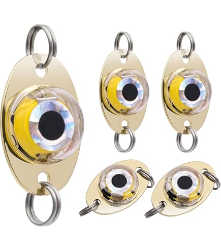 Amazon.com : Pack of 2 LED Fishing Lures, Underwater Night Light lamp,  Fish, Attractor, Fish Bait, Fishing Tackle : Sports & Outdoors
