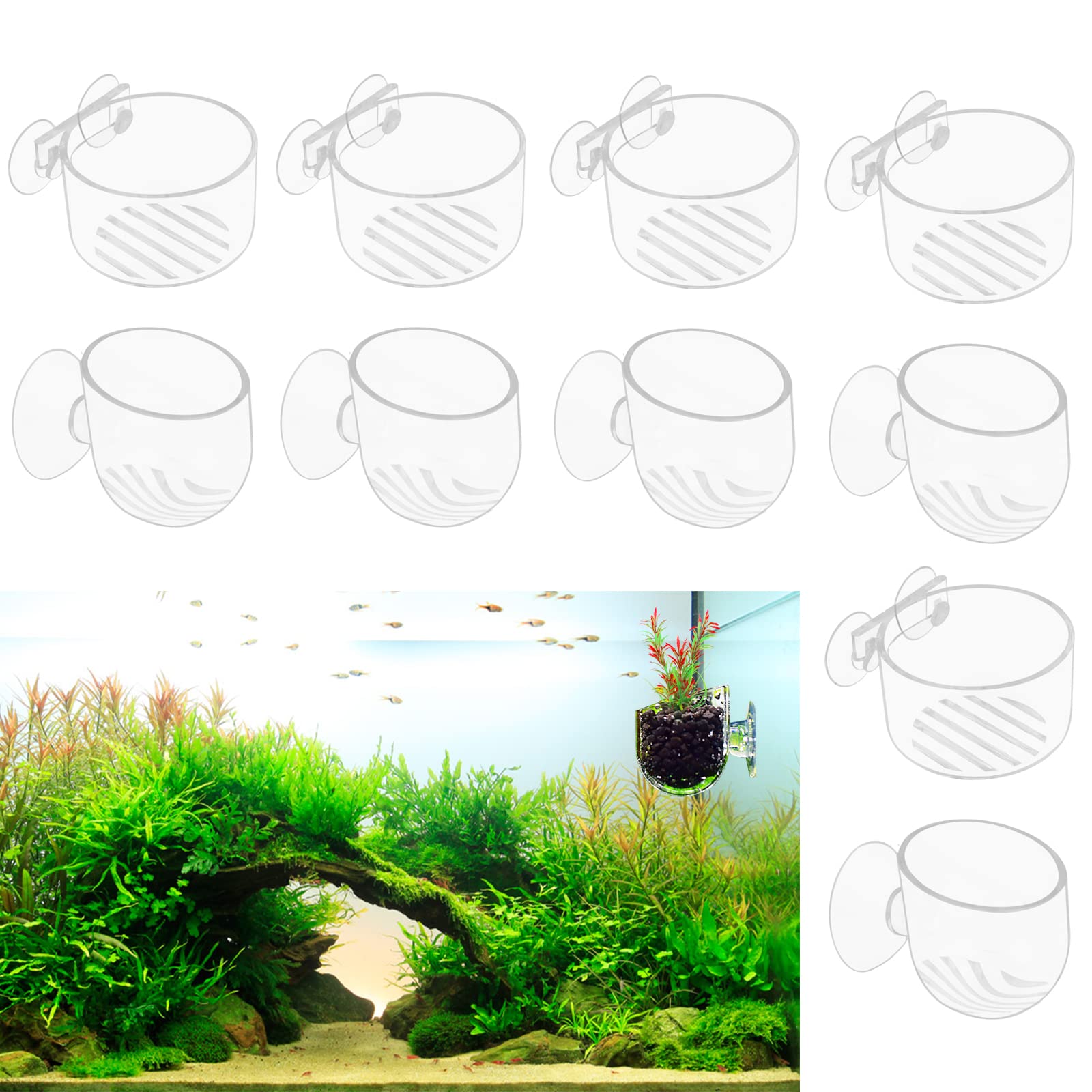 Gukasxi 10pcs Acrylic Aquatic Plant Cup Pot Holder with Suction Cups Red Fish Tank Plant Live Plants Pots for Fish Shrimp Feeding Fish Tank Aquascape Decor