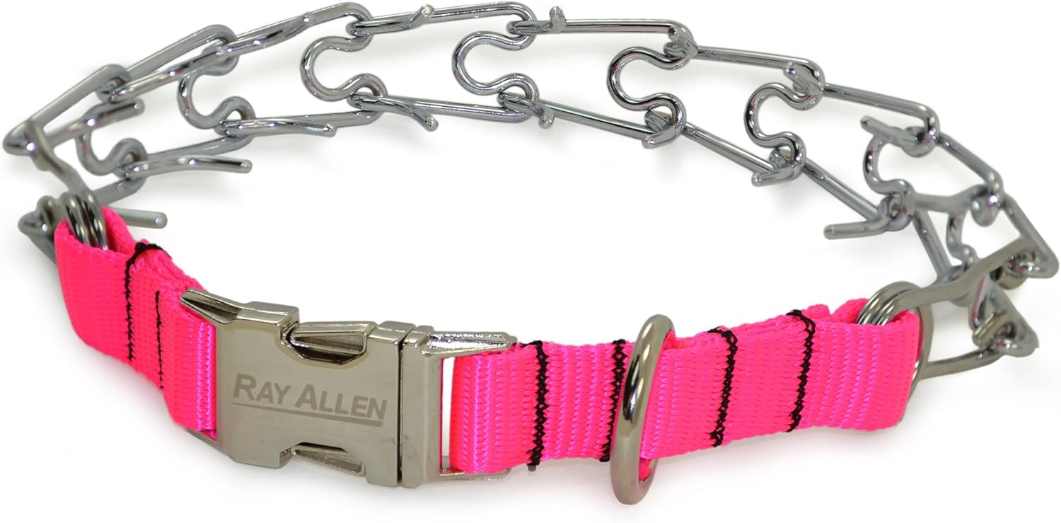 ray allen dog training