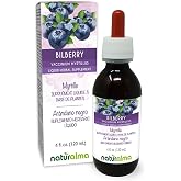 Naturalma Bilberry or European Blueberry (Vaccinium myrtillus) Fruit Alcohol-Free Tincture - 4 fl oz Liquid Extract in Drops - Herbal Supplement - Vegan