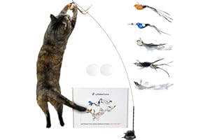 Whiskertons Interactive Bird Simulation Cat Toy Set, Interactive Cat Toys for Indoor Cats, Cat Feather Toy, Self-Holding Suct