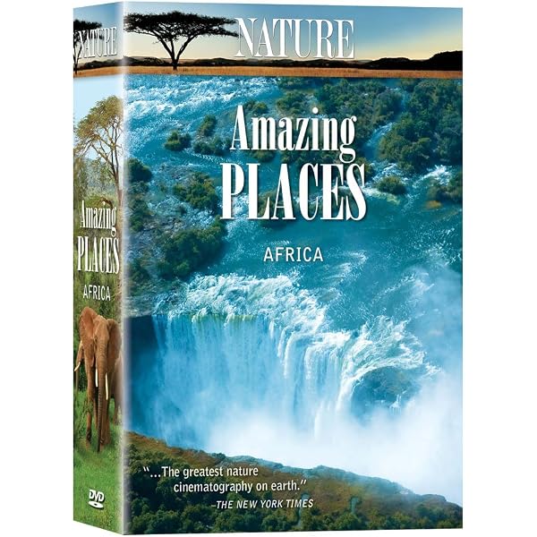 その他 Nature: Amazing Places: Africa [DVD] Amazon.com: Nature: Amazing Places: Africa : F. Murray Abraham