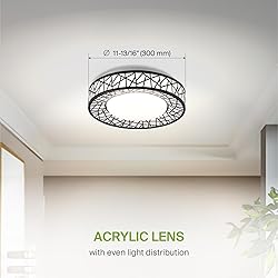 ASD 12 Inch LED Flush Mount Ceiling Light Fixture