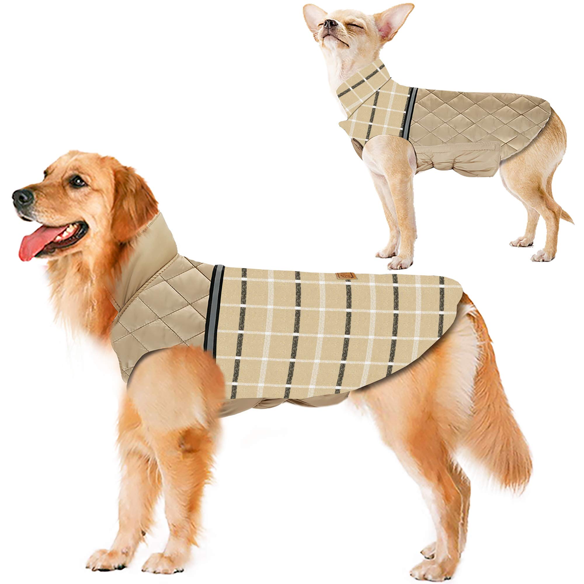 burberry dog jacket