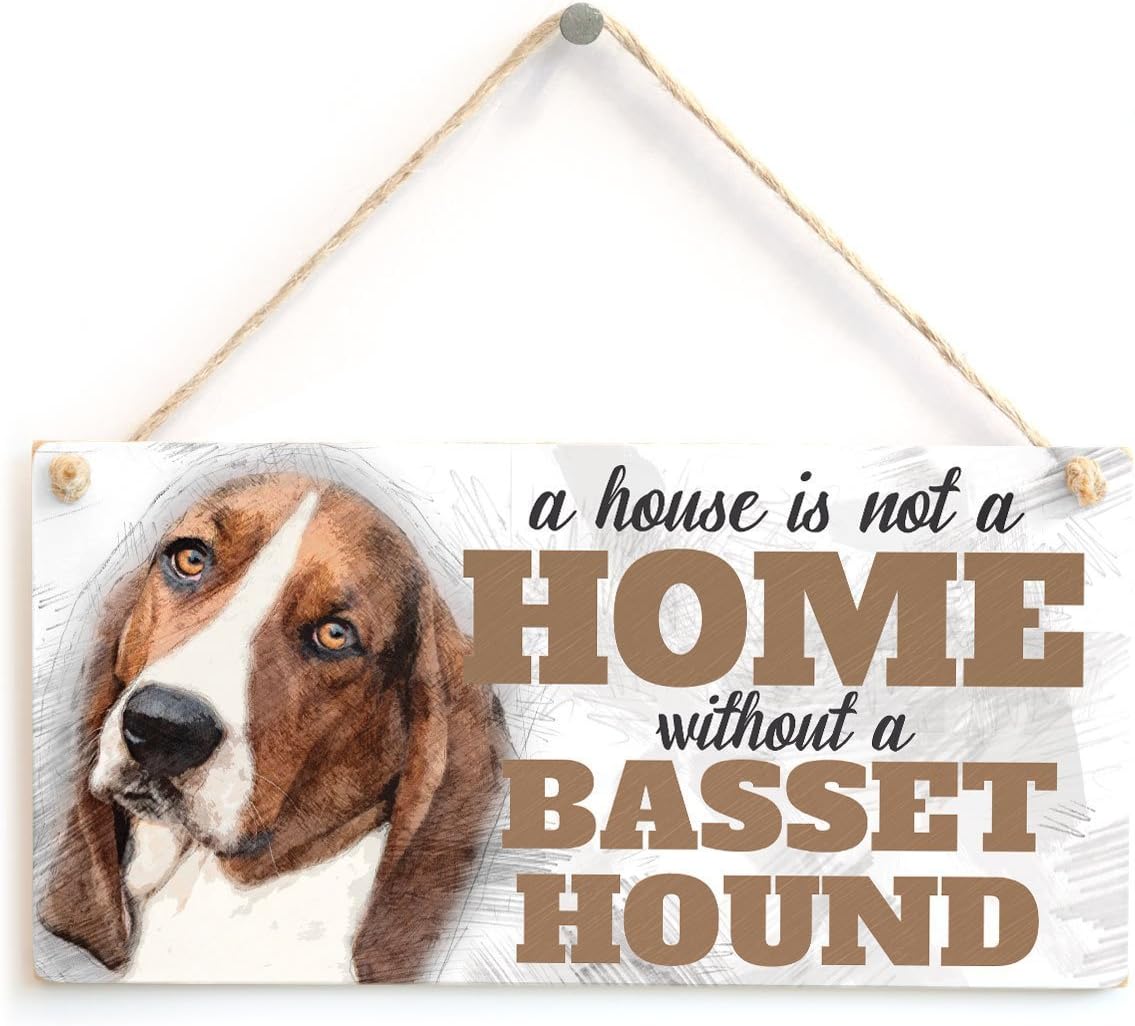 cute basset hound pictures