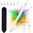 Stylus Pen for iPad 2018-2023, 15 Minute Fast Charging for Apple Pencil for iPad 10/9/8/7/6/A16 & Pro Series 11/12.9 inch and Air M3 11"/13"/5/4/3 Gen with Palm Rejection