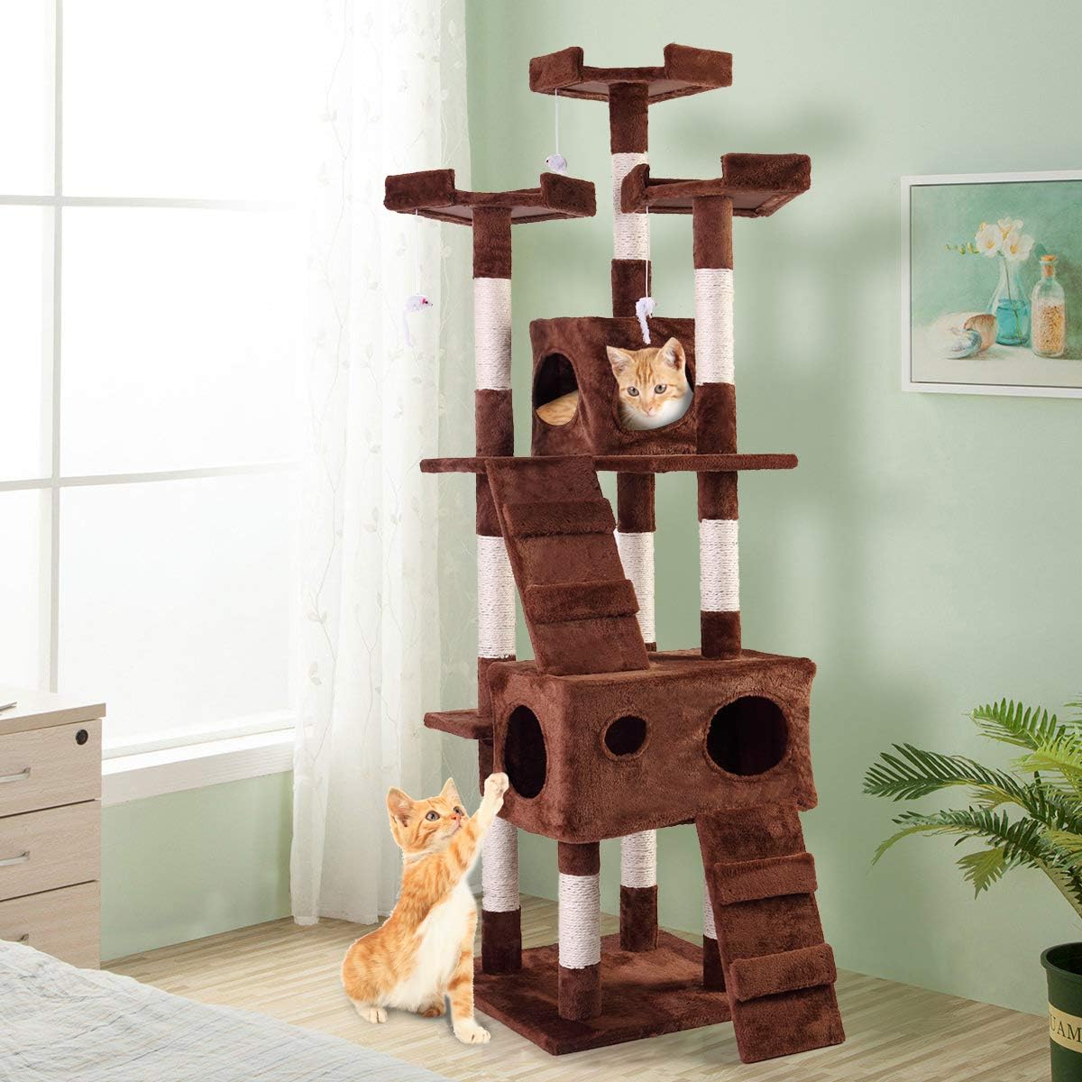 lazymoon cat house