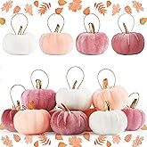 16 Pcs Fall Pumpkin Hanging Ornament 2.2 Inch Pink White Velvet Pumpkins Thanksgiving Tree Decorations Small Fabric Foam Pumpkin for Fall Thanksgiving Autumn Harvest Farmhouse Home Party Decor