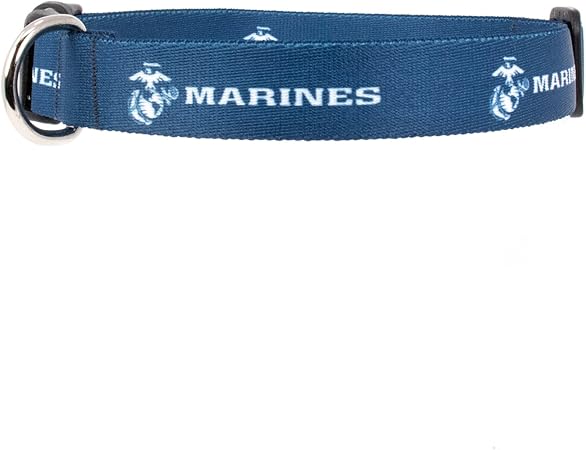 dog dynasty hulk puppies