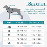 rabbitgoo Large Dog Harness No Pull Reflective Teal XL with Front Back Clips view 2