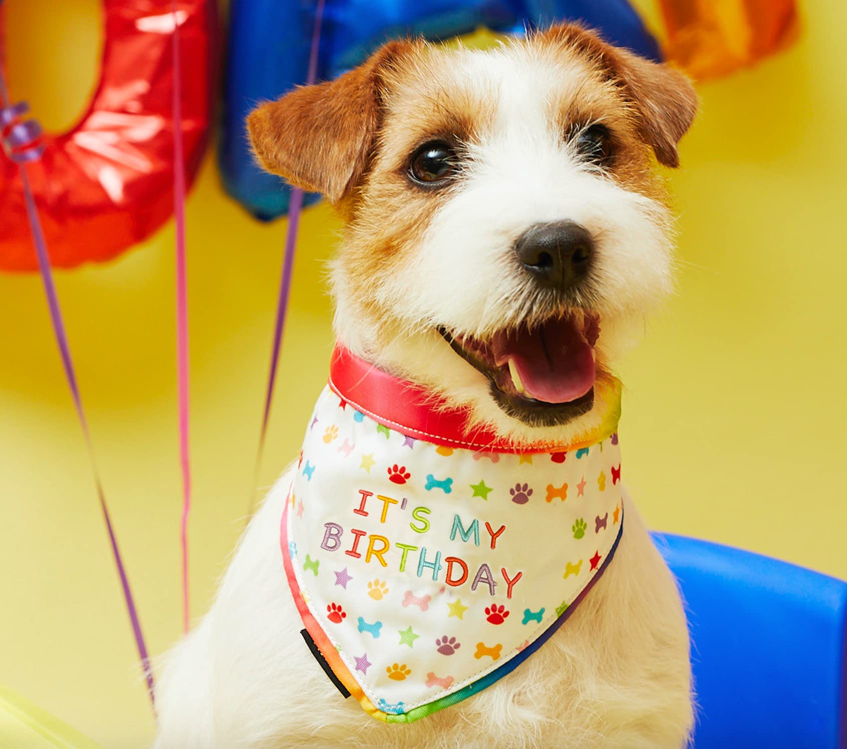 Pet London Dog or Cat Birthday Bandana Reversible in Fun Happy Bright Colours - Celebrate Dog's for Boy or Girl-Rainbow Pattern, Party Bday or Adoption Gift Celebration-Size LARGE